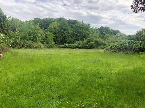 IMG_8467.JPG - Ascheffel: Bauen nach dem Bauturbo 246 e