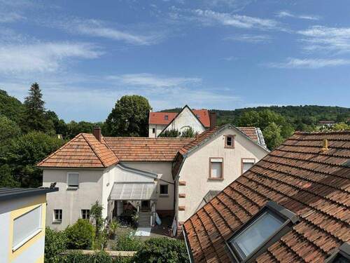 Blick DG - 