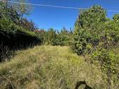 Garten
- 