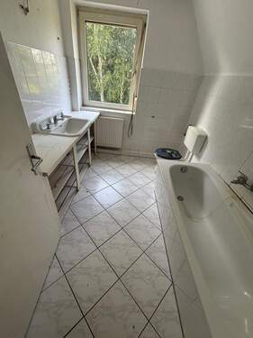 PHOTO-2025-09-09-11-49-15 (12).jpg - 