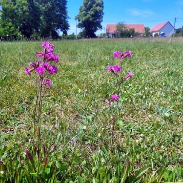 Baugrundstück Bild 10 - 