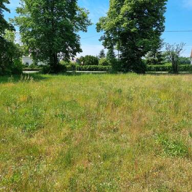 Baugrundstück Bild 2 - Grundstück zum Kaufen in Neißeaue OT Kaltwasser