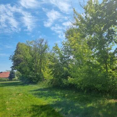 Baugrundstück Bild 4 - Grundstück in Neißeaue OT Kaltwasser zum Kaufen