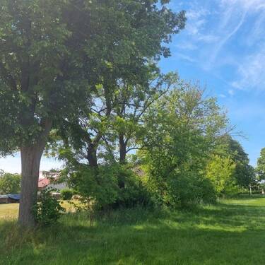 Baugrundstück Bild 6 - 