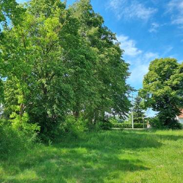 Baugrundstück Bild 8 - 