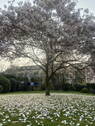 Bild 13 - 