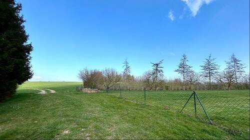 Blick zum Feldrand - Grundstück in Hohen Schönberg zum Kaufen