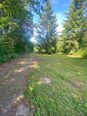 Grundstück.Hinten - Schönes Baugrundstück in 21509 Glinde in zweiter Reihe mit Altbestand