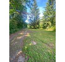 Schönes Baugrundstück in 21509 Glinde in zweiter Reihe mit Altbestand