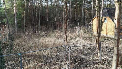 Blick von der Straße auf das Grundstück - 