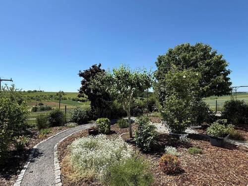 Liebevoll angelegter Garten mit kleinen Wegen - 