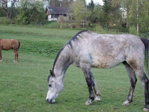JPG_1510790791503 - Terrassenwohnung in Tambach-Dietharz