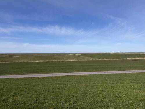 Weitblick vom Deich - 