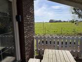 Ausblick - 
