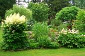 Impressionen - 