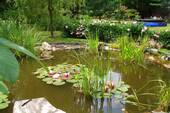 Impressionen - 