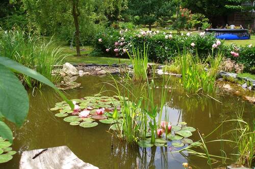 Impressionen - 
