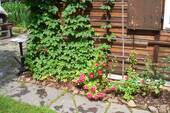 Terrasse mit Grill am Haus 1 - 