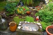 Impressionen - 