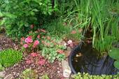 Impressionen - 