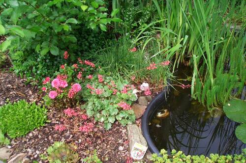 Impressionen - 