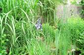 Impressionen - 