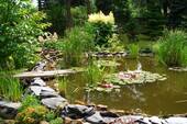 Teich - Grundstück in Plauen zum Kaufen