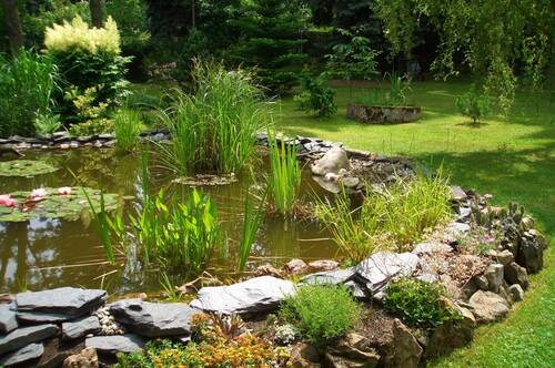 Impressionen - 