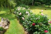 Impressionen - 