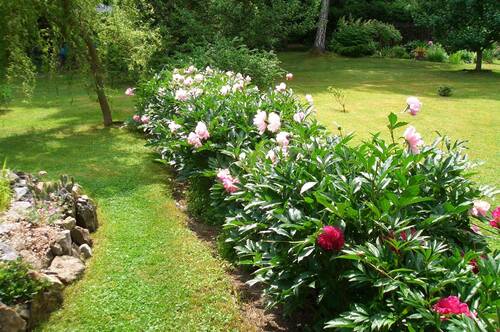 Impressionen - 