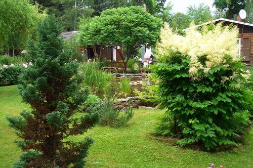 Impressionen - 