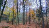 Bild 24 - 