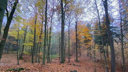 Bild 24 - 