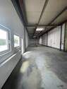 3. Halle - 