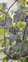 Bild14 - 