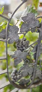 Bild14 - 