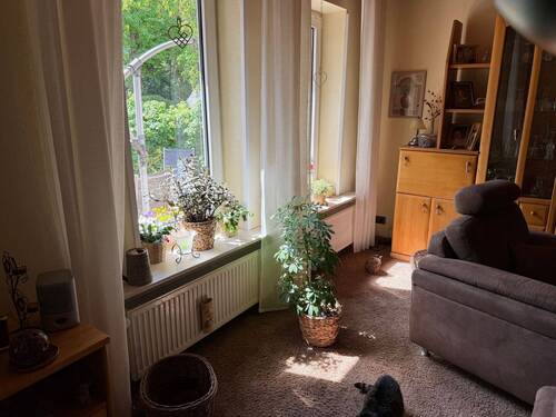 Viel Licht - 