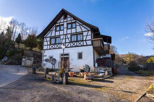 Außenaufnahme - Mehrfamilienhaus, Wohnhaus mit 231,00 m&sup2; in Stühlingen zum Kaufen
