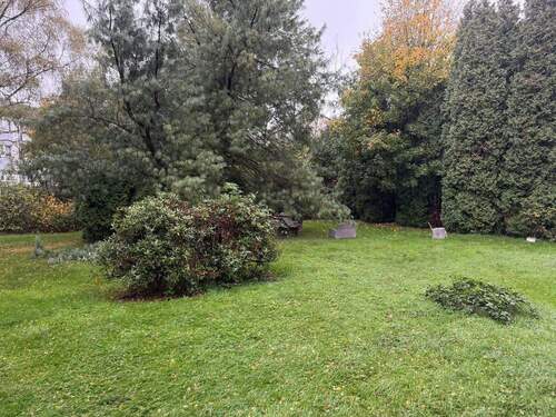 Gemeinschaftsgarten - 