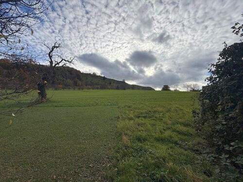 Grundstücksgrenze zur freien Natur - 