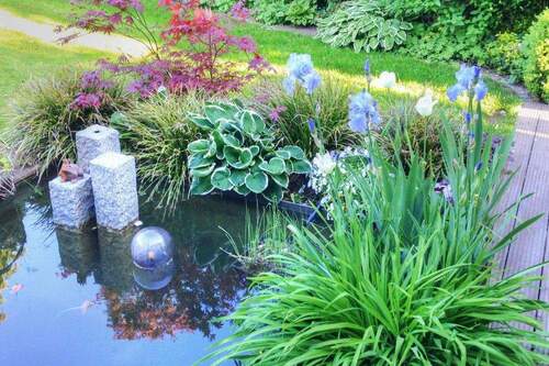 REH-Junoring-Gartenteich - 