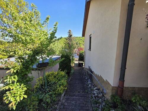 Gartenimpressionen - 