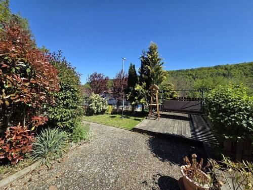 Gartenimpressionen - 