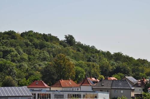 Blick Richtung Auenwald.JPG - 