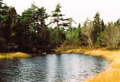 Blick zum Grundstück mit Wasserfront - 