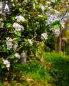 Momentaufnahme - 