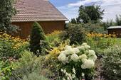 Gartenbild - 