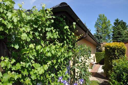 Garten.JPG - 