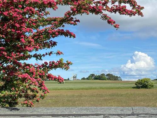 Blick auf die Nebeler Mühle - 