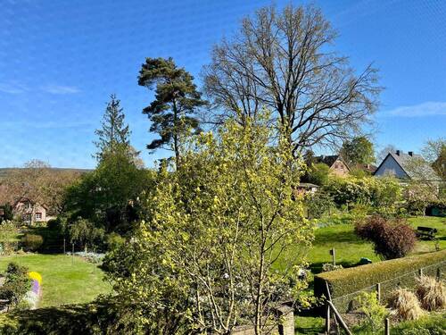 Blick aus dem Wohnzimmer - 
